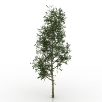 pin des modles 3D