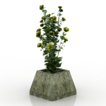 Fleurs sauvages Bonsai modles 3D