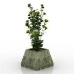 Fleurs sauvages Bonsai modles 3D
