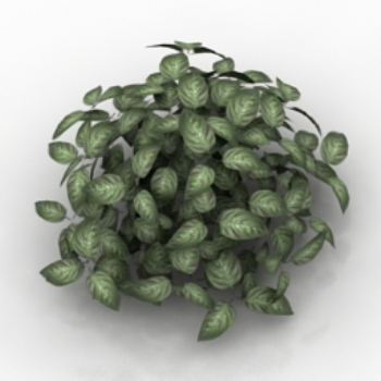 luxuriante herbe modle 3D