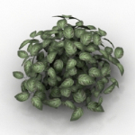 luxuriante herbe modle 3D
