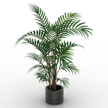 Simple modle 3d de bonsaïs