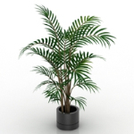 Simple modle 3d de bonsaïs