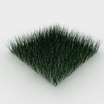 Herbe des modles 3D