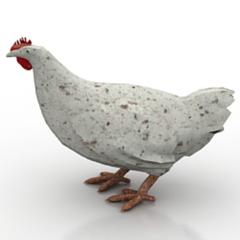 modles de poules blanches
