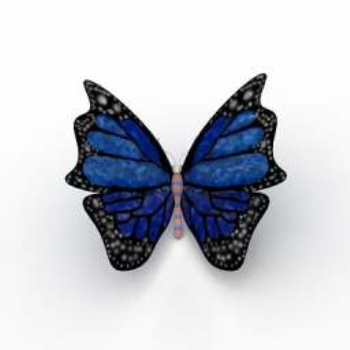 modles de papillons bleus