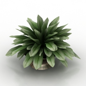modle pot