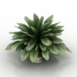 modle pot