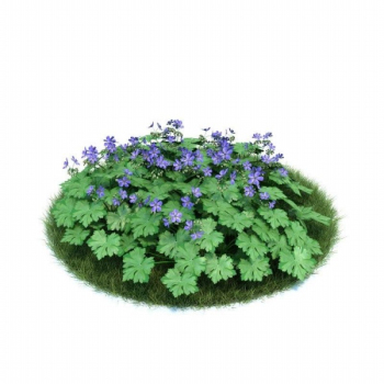 Vert modle 3D violet