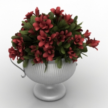 belles fleurs en pot modle