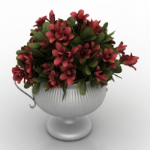 belles fleurs en pot modle