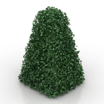 modle vert