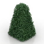 modle vert
