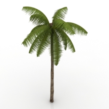 modle de Coconut Beach