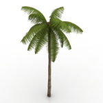 modle de Coconut Beach