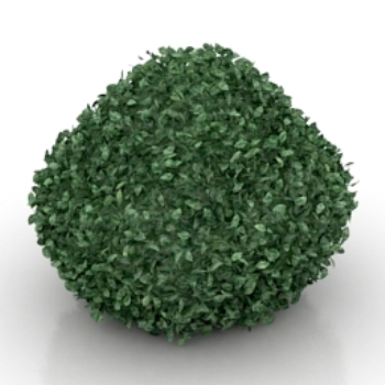 modle de brousse verte