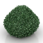 modle de brousse verte