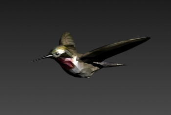 Modles 3D Jay