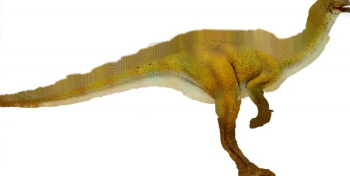 Grands modles de dinosaures 3D