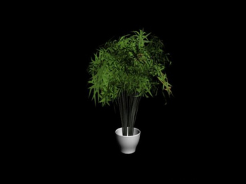 green des modles 3d
