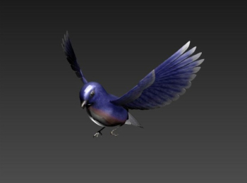 la bird modle 3d
