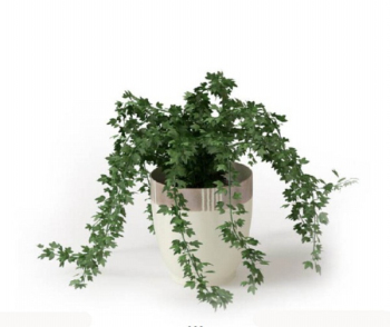 les plantes en pot vert modle 3D