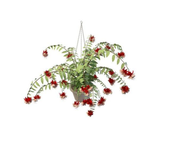 Red fleurs roses panier modle