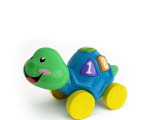 Color, peu, tortue, jouets, 3D, modle