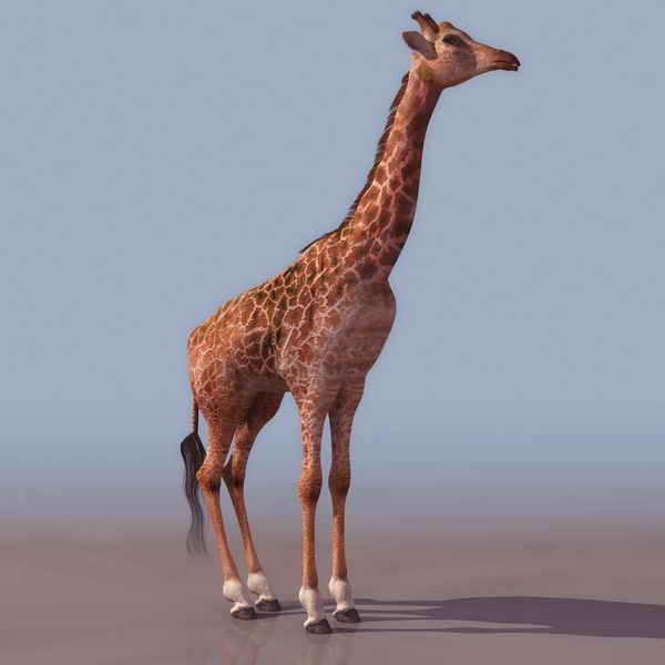 Tlchargement GRATUIT de modles 3D!