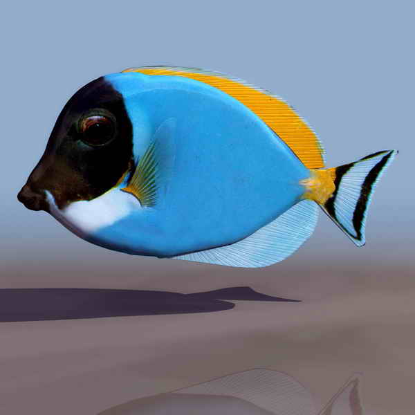 Tlchargement GRATUIT de modles 3D!