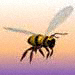 abeilles, les animaux 50-2