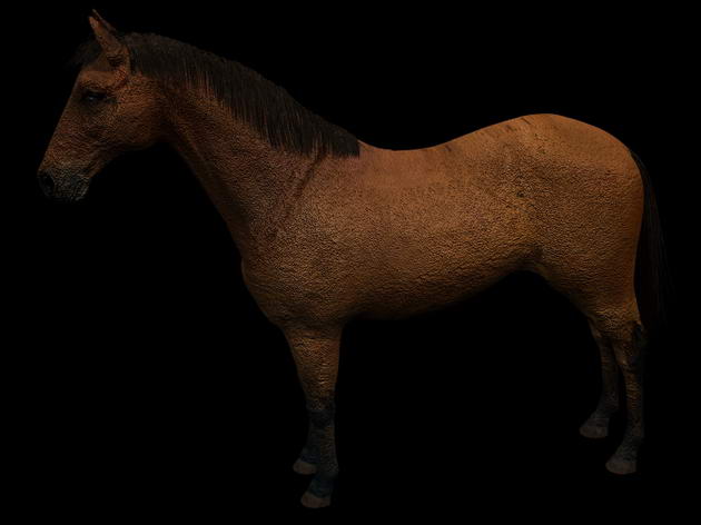 Tlchargement GRATUIT de modles 3D!