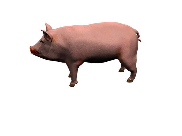 Tlchargement GRATUIT de modles 3D!