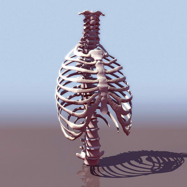 Tlchargement GRATUIT de modles 3D!