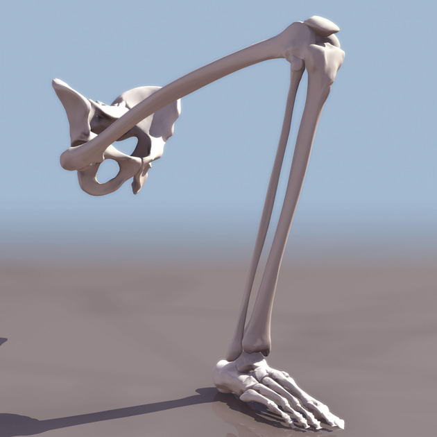 Tlchargement GRATUIT de modles 3D!