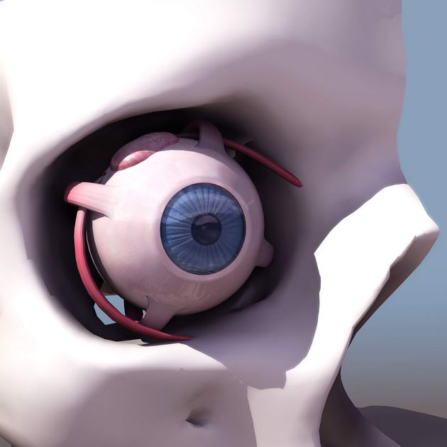 Tlchargement GRATUIT de modles 3D!