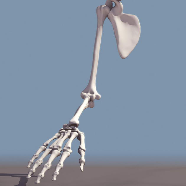 Tlchargement GRATUIT de modles 3D!