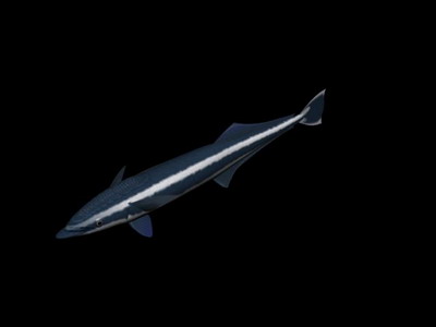 Tlchargement GRATUIT de modles 3D!
