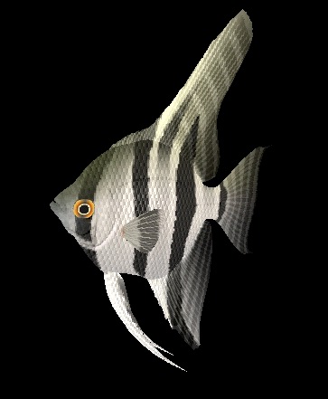 Tlchargement GRATUIT de modles 3D!