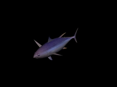Tlchargement GRATUIT de modles 3D!