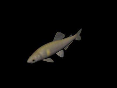 Tlchargement GRATUIT de modles 3D!