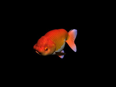 Tlchargement GRATUIT de modles 3D!