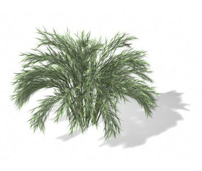 3dmax
