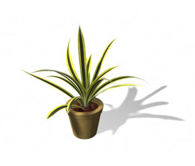 3dmax
