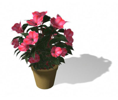 3dmax