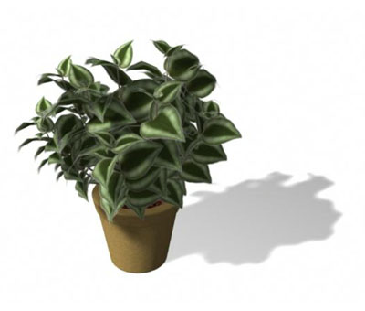 3dmax