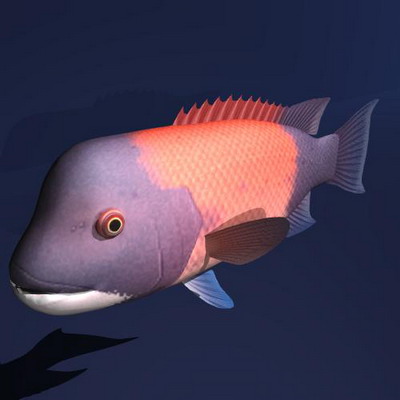 3dmax