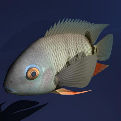 3dmax