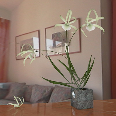 3dmax