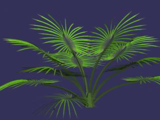 Plantes 003-50
